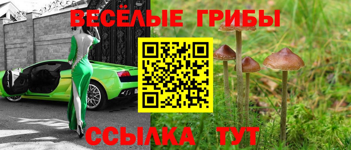 Псилоцибиновые грибы Psilocybine cubensis  Вход с VPN  купить наркотики сайты  Радужный 